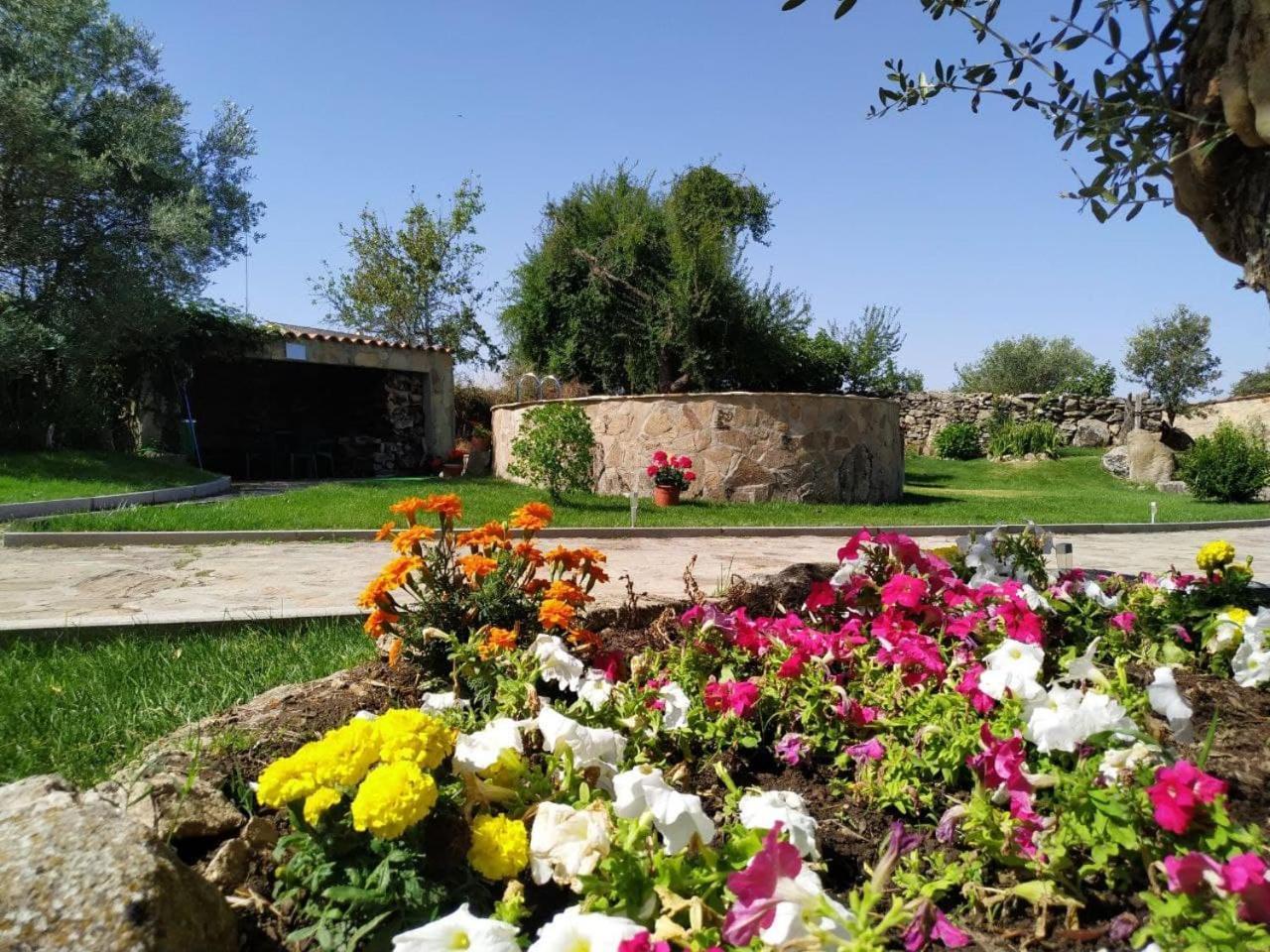El Lagar Del Abuelo En Los Arribes Del Duero, Badilla, Zamora Ngoại thất bức ảnh