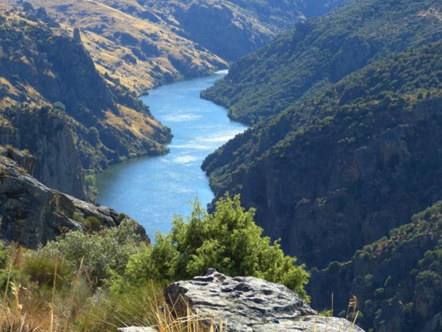 El Lagar Del Abuelo En Los Arribes Del Duero, Badilla, Zamora Ngoại thất bức ảnh