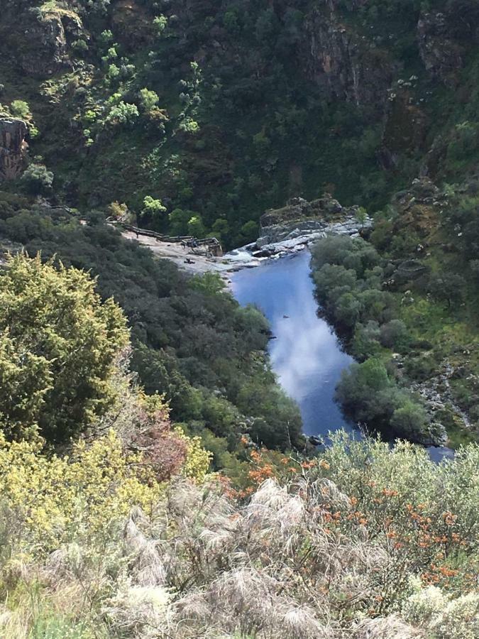 El Lagar Del Abuelo En Los Arribes Del Duero, Badilla, Zamora Ngoại thất bức ảnh